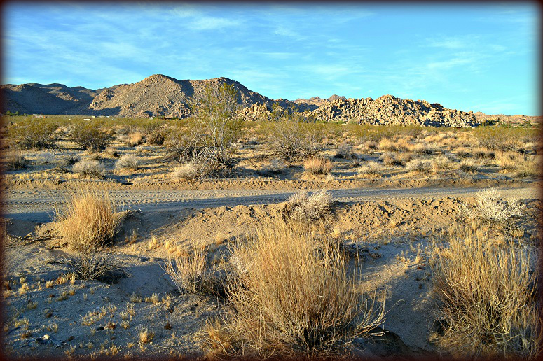 Panorama Heights land for sale