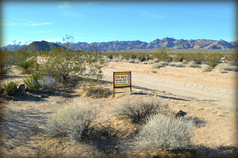 Twentynine Palms Land For Sale
