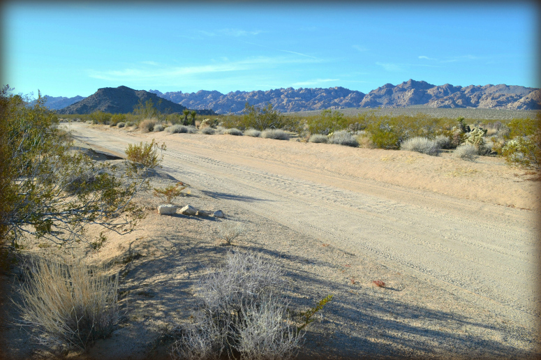 Shoshone Valley Road