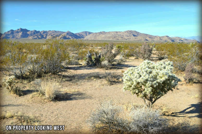 Shoshone Valley Road