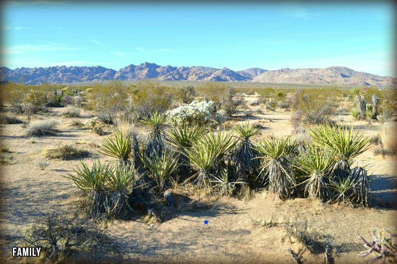 Shoshone Valley Road