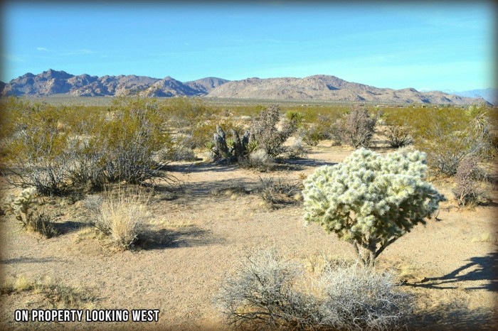 Shoshone Valley Road