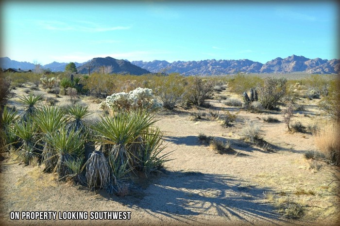 Shoshone Valley Road