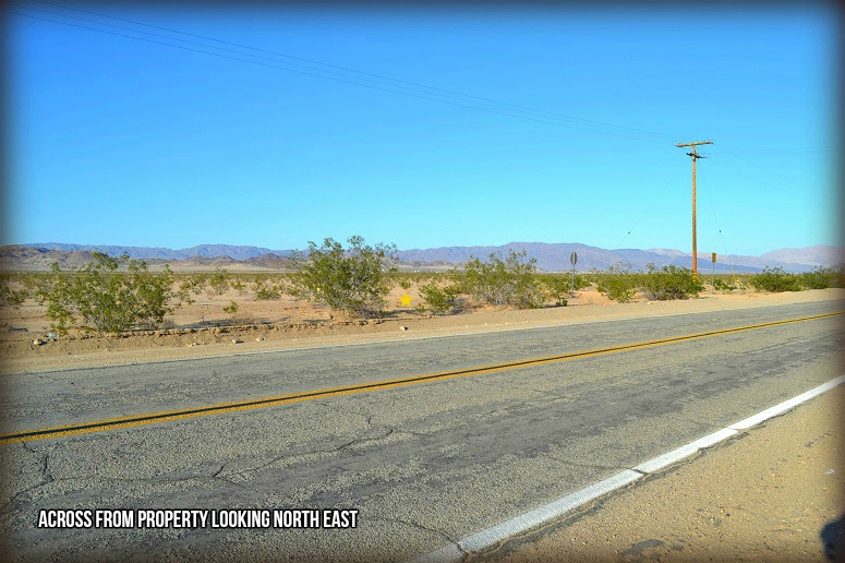 Amboy Road