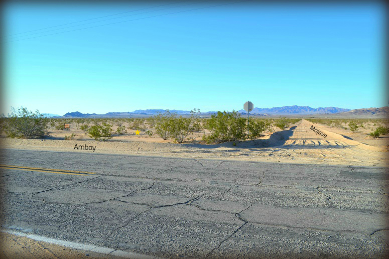 Amboy Road