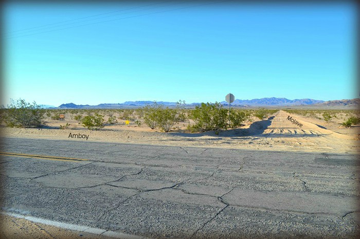 Amboy Road