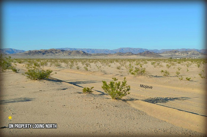Amboy Road