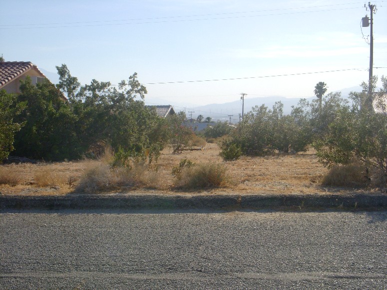 Hildago Street