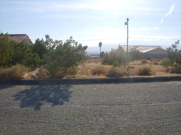 Hildago Street