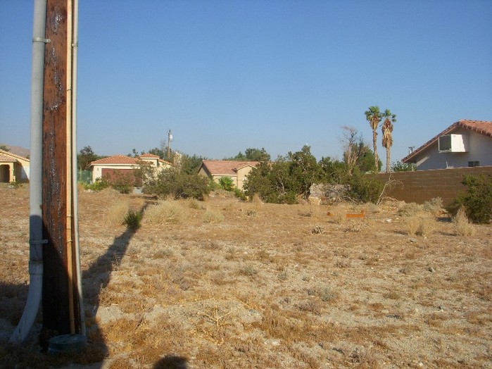 Hildago Street