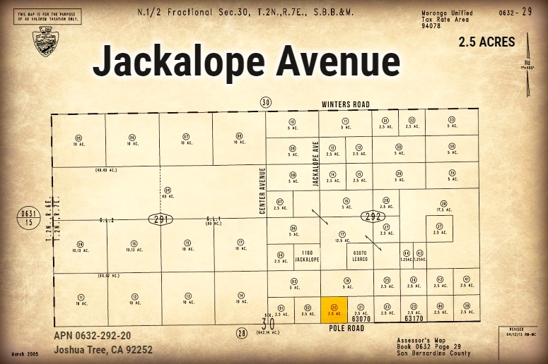 Jackalope Avenue