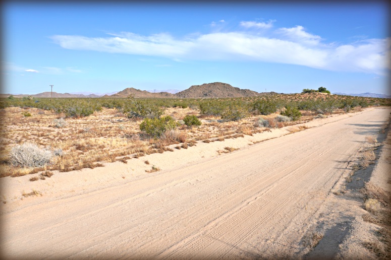 Jackalope Avenue