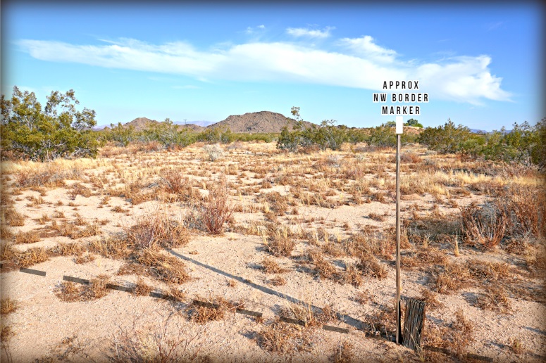 Jackalope Avenue