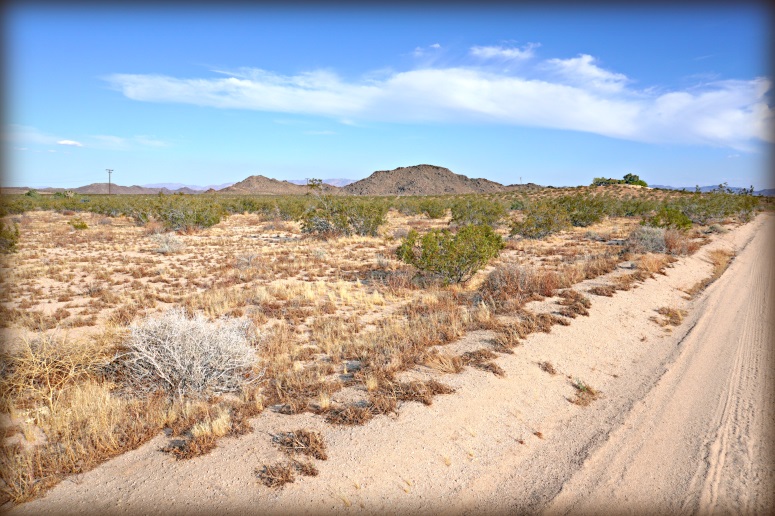 Jackalope Avenue