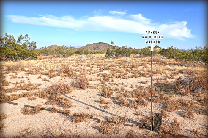 Jackalope Avenue