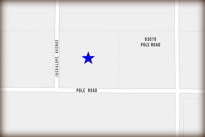 Jackalope Avenue