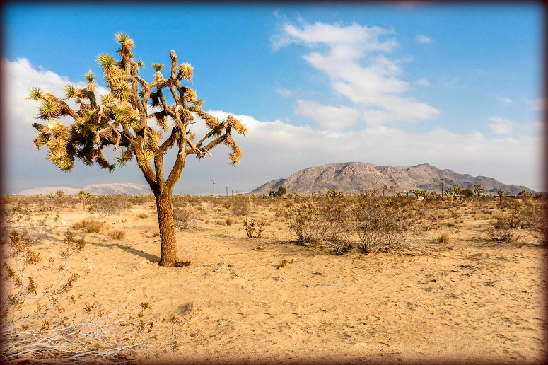 Landers land for sale
