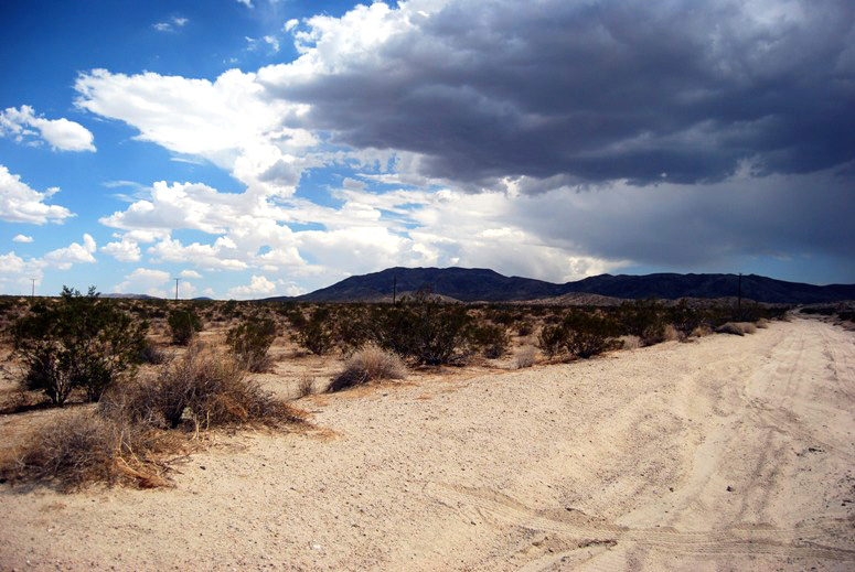Twentynine Palms Land For Sale