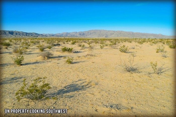 Mojave Road