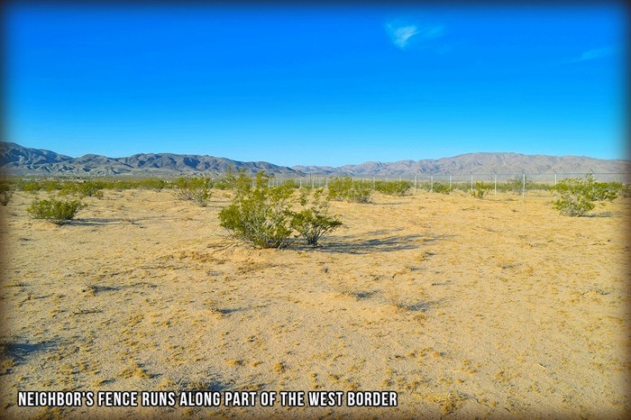 Mojave Road
