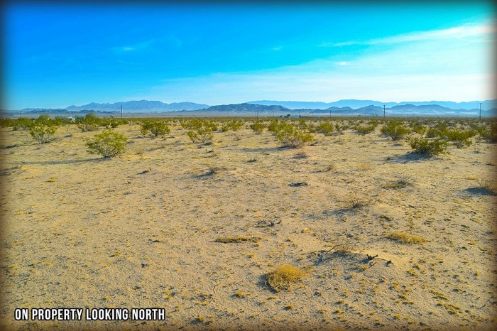 Mojave Road