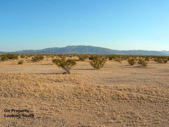 Blower Road