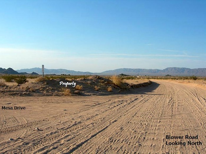 Blower Road