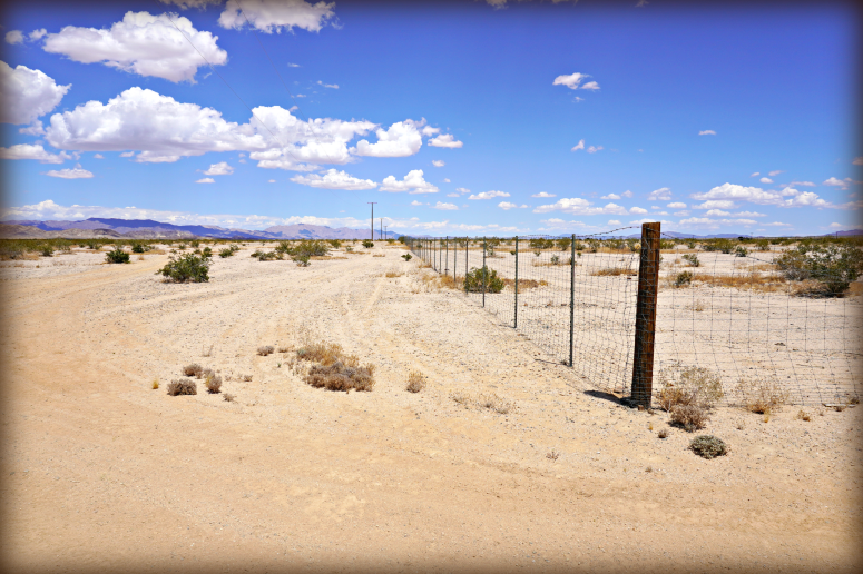 Twentynine Palms Land For Sale