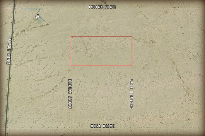 Araby Avenue