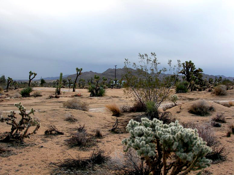 Saddleback Road