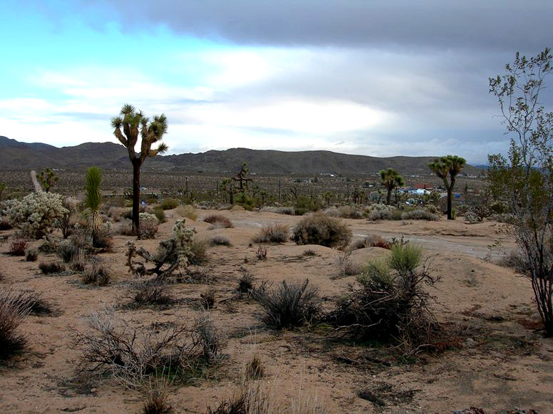 Saddleback Road