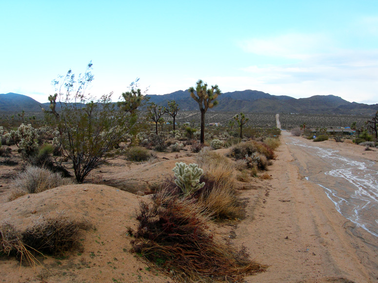 Saddleback Road