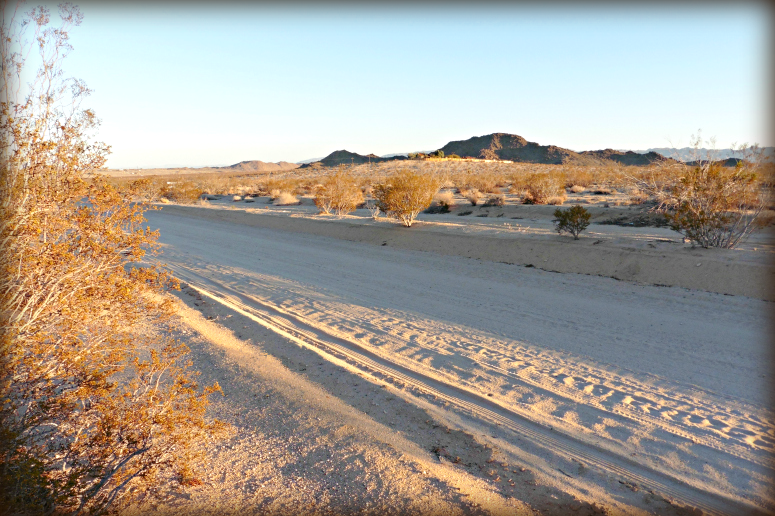 Joshua Tree Acreage For Sale