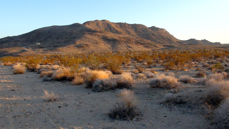 Joshua Tree unimproved land for sale