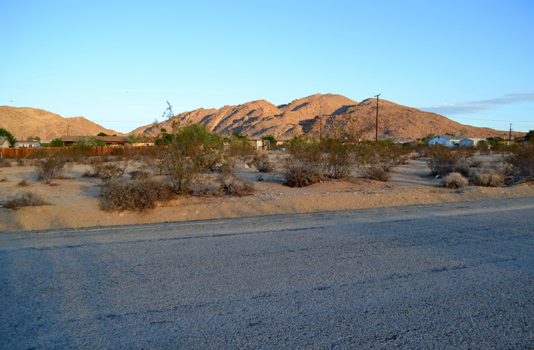 Joshua Tree Owner Financing