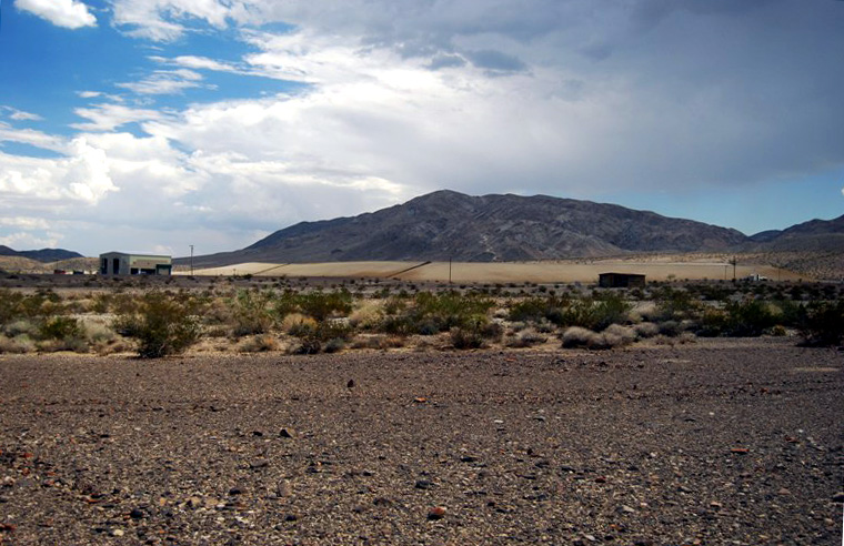 Pinto Mountain Curl