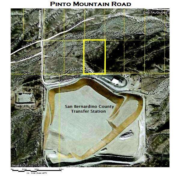 Pinto Mountain Curl