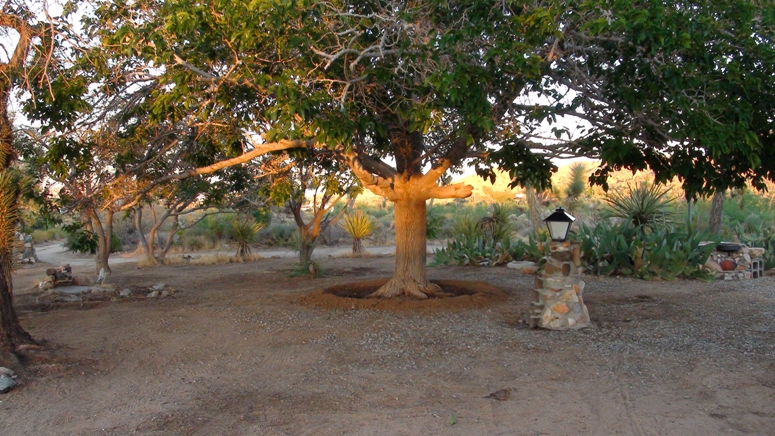 5008 Warren Vista