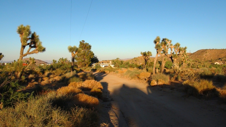5008 Warren Vista