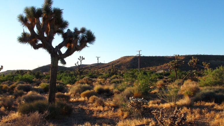 5008 Warren Vista