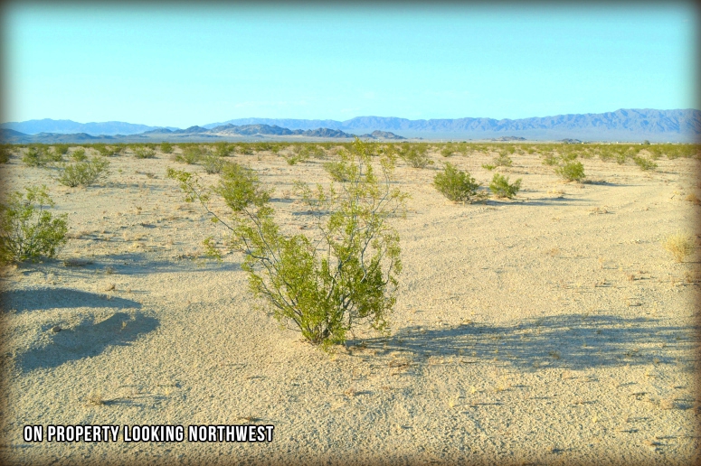 Two Mile Road