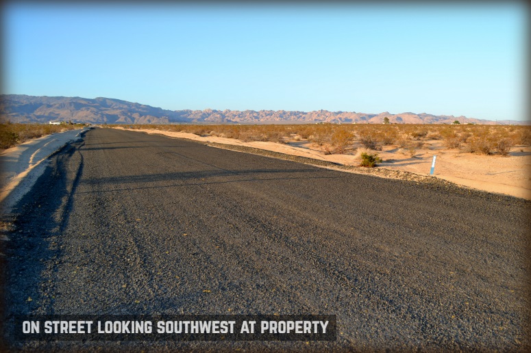 Desert Flower Avenue