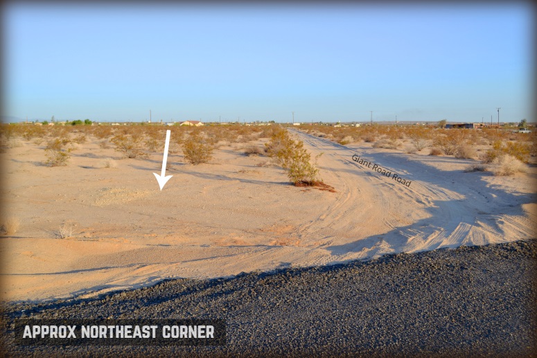 Desert Flower Avenue