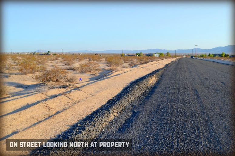Desert Flower Avenue
