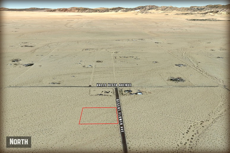 Desert Flower Avenue
