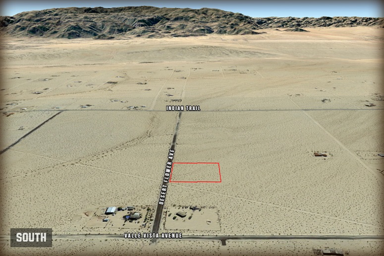 Desert Flower Avenue