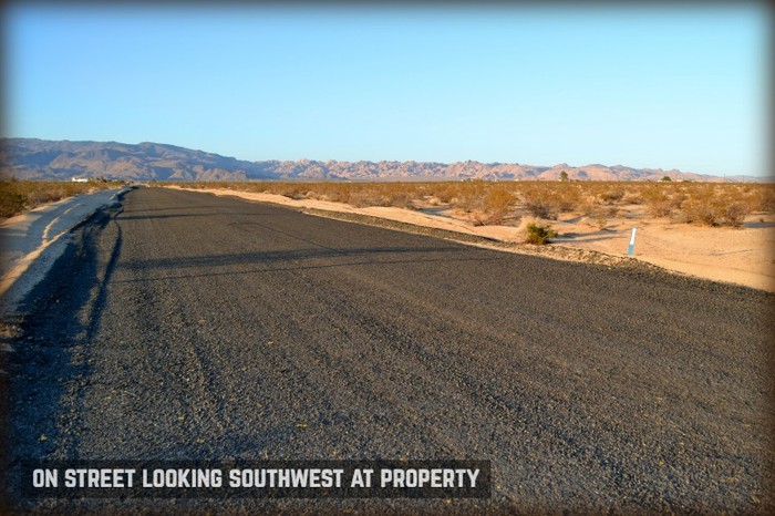 Desert Flower Avenue