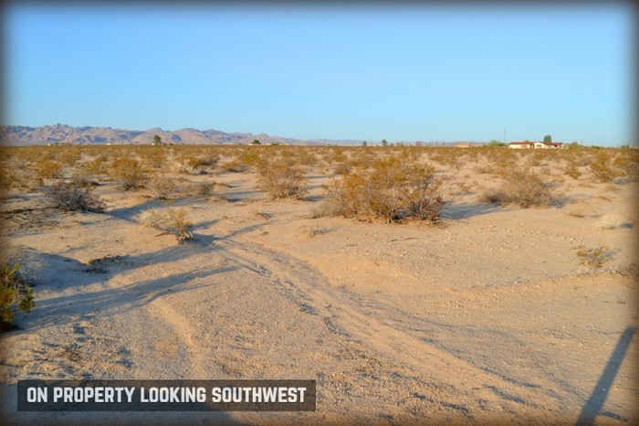 Desert Flower Avenue