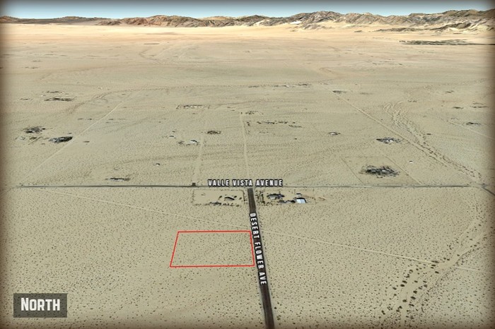 Desert Flower Avenue