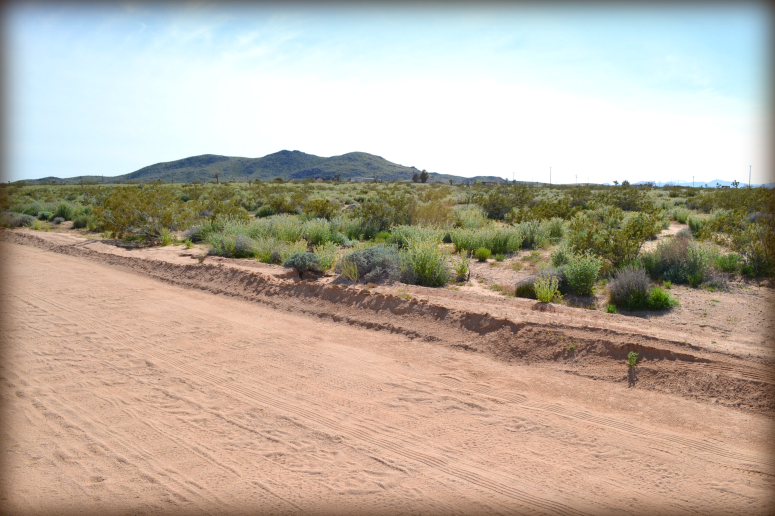 Landers Residential Acreage